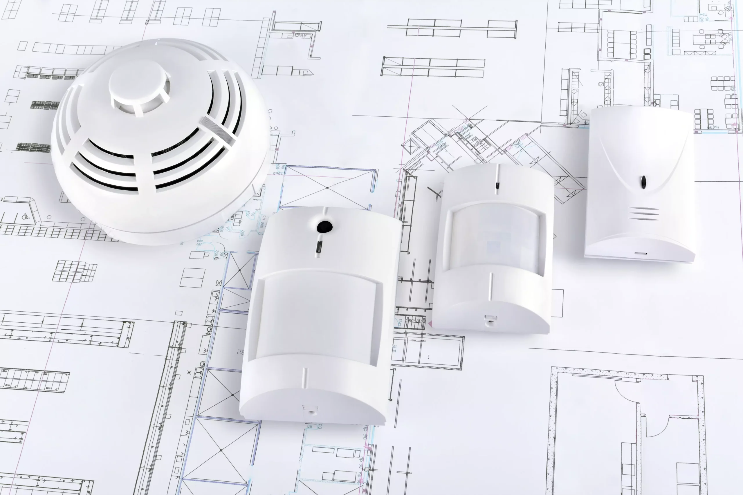 AnyConv.com__shutterstock_555619642